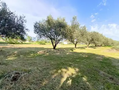 Building plot in Vodnjan, quiet location and access road - 3