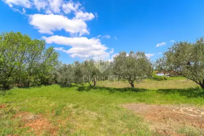 Building plot in Vodnjan, quiet location and access road