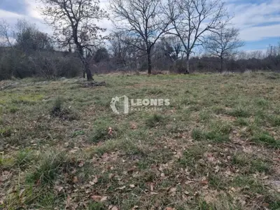 Građevinsko zemljište 3 551 m², Umag - poslovna namjena