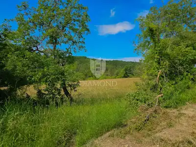 Building plot 561 m², Buje - quiet location - 4