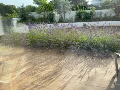 Modern villa in Istria with sea view, rooftop terrace and landscaped garden – 800 m from the beach - 16