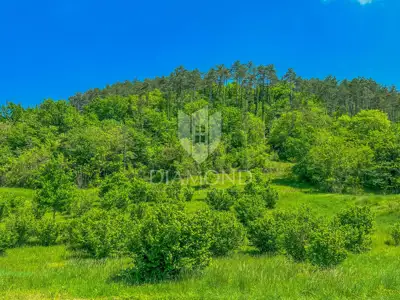 Building plot 4,607 m², Oprtalj - view of Motovun - 7