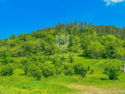Building plot 4,607 m², Oprtalj - view of Motovun - 2