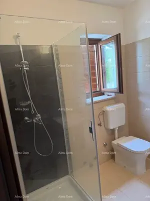 Beautiful duplex apartment with pool and terrace in Buje - 6
