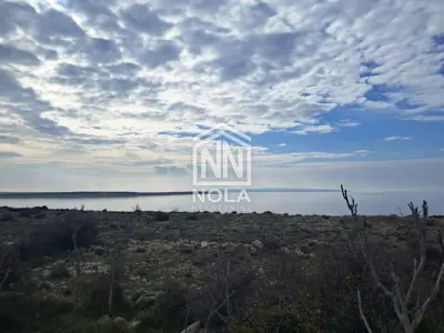 Agricultural land 35,000 m² 1st row by the sea Povljana