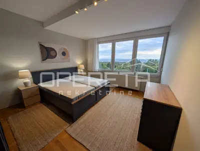 Najam, Stan, Šestine, Šestinski vijenac, 5s, 240 m² - 2