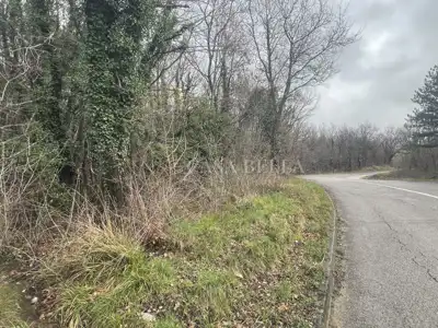 Agricultural land 453 m², Grižane-Belgrad by asphalt - 4