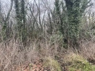 Agricultural land 453 m², Grižane-Belgrad by asphalt - 3