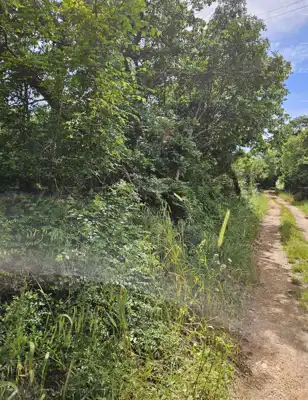 Građevinsko zemljište 1 712 m², Marčana uz cestu - 5