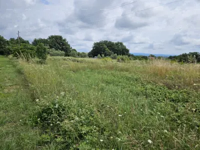 Građevinsko zemljište 1 712 m², Marčana uz cestu - 3