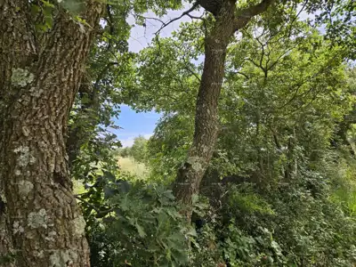 Građevinsko zemljište 1 712 m², Marčana uz cestu - 4