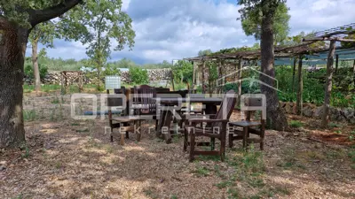 Zemljište 2.429 m², Krk - uređen maslinik i infrastruktura - 3