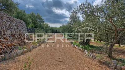 Zemljište 2.429 m², Krk - uređen maslinik i infrastruktura - 5