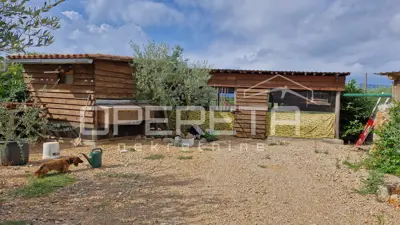 Zemljište 2.429 m², Krk - uređen maslinik i infrastruktura - 2