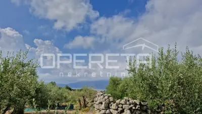 Zemljište 2.429 m², Krk - uređen maslinik i infrastruktura