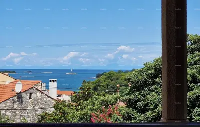 Funtana, Stone house with sea view for sale - 4