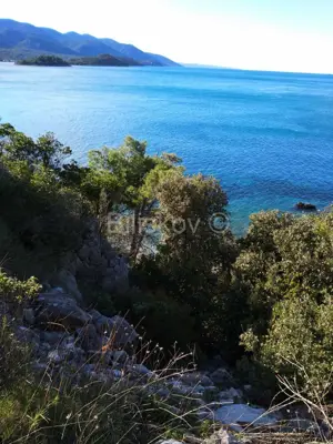 Agricultural land 10 897 m², Viganj by the sea and beach - 4