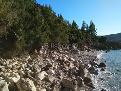 Agricultural land 10 897 m², Viganj by the sea and beach - 2