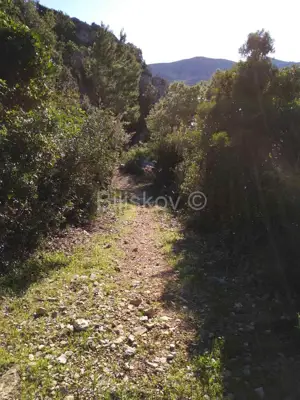 Agricultural land 10 897 m², Viganj by the sea and beach - 5