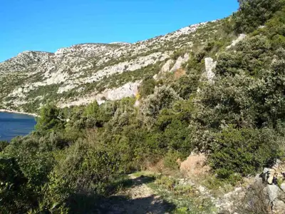 Poljoprivredno zemljište 10 897 m², Viganj uz more i plažu - 6