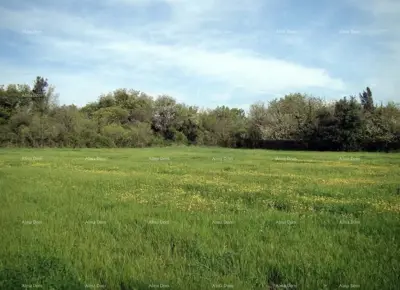 Građevinsko zemljište 16 000 m², Ližnjan - turistička namjena - 3