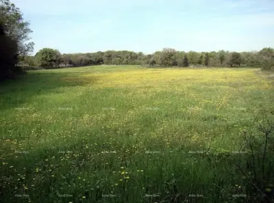 Građevinsko zemljište 16 000 m², Ližnjan - turistička namjena - 4