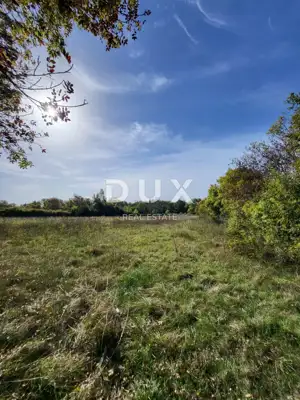 Landwirtschaftsland, Poličnik - Wasserquelle und ruhige Umgebung - 5