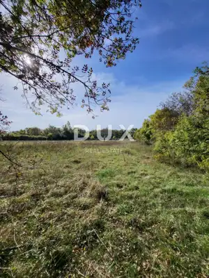 Landwirtschaftsland, Poličnik - Wasserquelle und ruhige Umgebung - 6