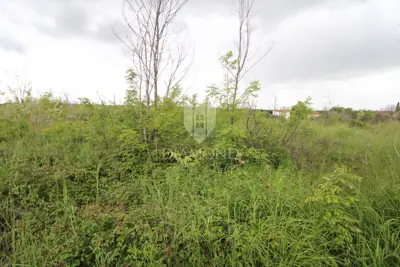 Building plot 699 m², Ližnjan - flat plot - 5