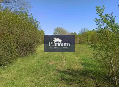 ISTRA, PAVIĆINI, Bauland 3000 m², Top-Lage