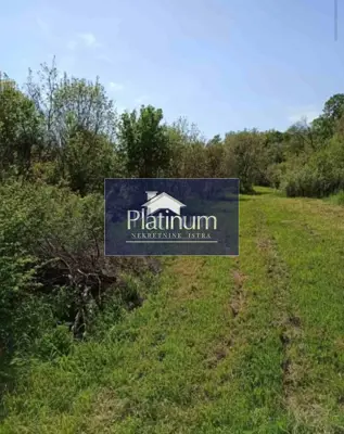 ISTRA, PAVIĆINI, Bauland 3000 m², Top-Lage - 2