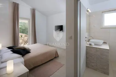Labin, okolica, predivna villa - 11