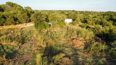 Zemljište 8 000 m², Vodnjan - mirna lokacija i privatnost - 2