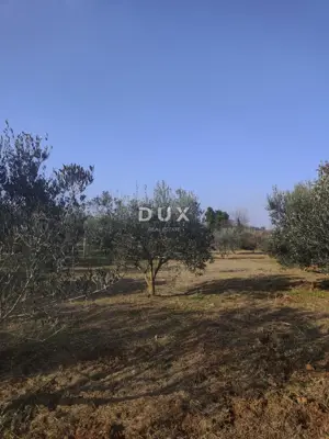 Cottage 18 m², Pomer - olives and quiet location - 5