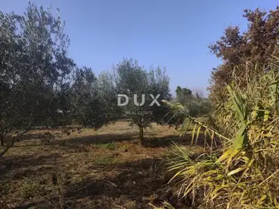 Cottage 18 m², Pomer - olives and quiet location - 6