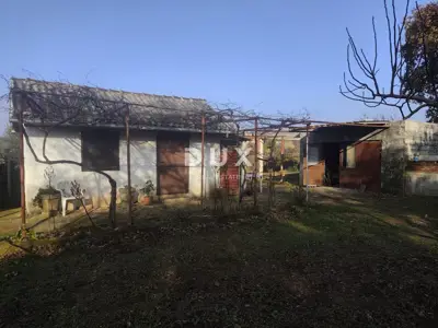 Cottage 18 m², Pomer - olives and quiet location