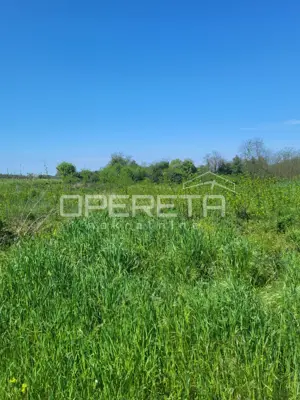 Poljoprivredno zemljište 893 m², Brtonigla - mirna lokacija - 2