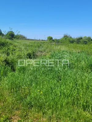 Poljoprivredno zemljište 893 m², Brtonigla - mirna lokacija - 3
