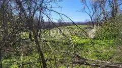 Pećane, Debelo Brdo, building plot, 8,486 m² - 3