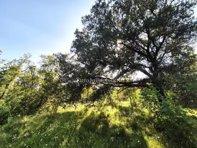 Poljoprivredno zemljište, Vrh na Krku, mirna lokacija