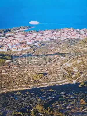 Olive grove 14 050 m², Supetar - open view of the sea and Split - 2