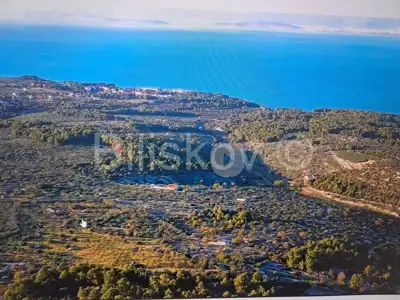 Olive grove 14 050 m², Supetar - open view of the sea and Split - 3