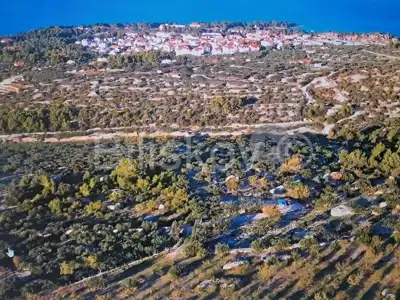 Olive grove 14 050 m², Supetar - open view of the sea and Split