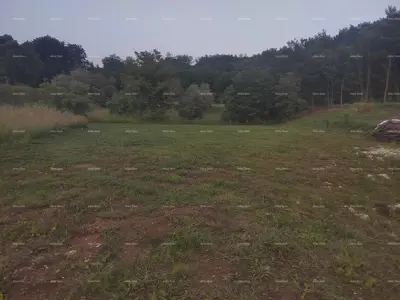 Građevinsko zemljište 1 818 m², Pićan - mirna lokacija