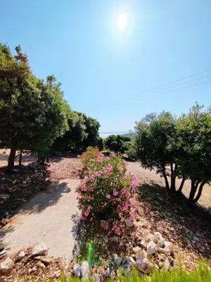 House 53 m², Kavran, sea view and quiet location - 9