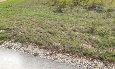 Građevinsko zemljište 2 412 m², Balići I kod Žminja, mirna lokacija - 2