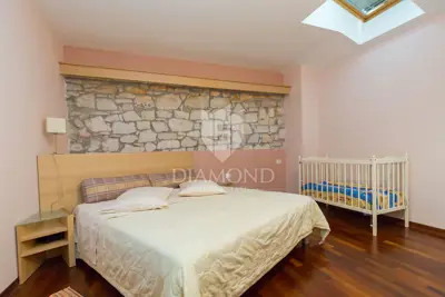 Vila, Novigrad okolica, bazen i vrt - 5