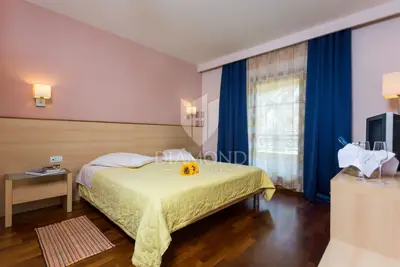 Vila, Novigrad okolica, bazen i vrt - 6