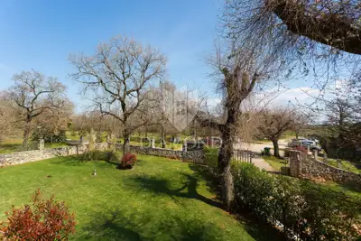 Vila, Novigrad okolica, bazen i vrt - 17
