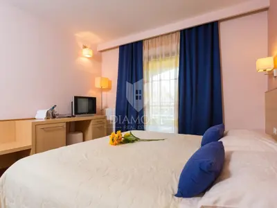 Vila, Novigrad okolica, bazen i vrt - 10